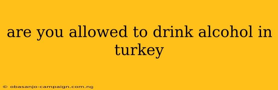 Are You Allowed To Drink Alcohol In Turkey