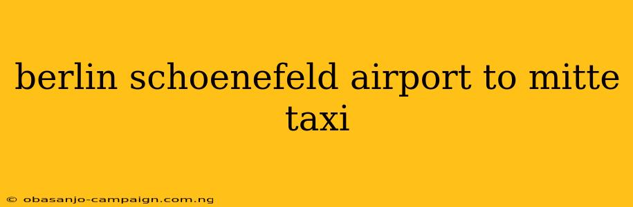 Berlin Schoenefeld Airport To Mitte Taxi