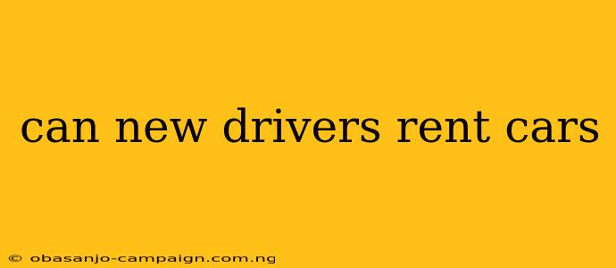 Can New Drivers Rent Cars