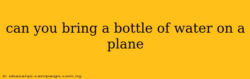 Can You Bring A Bottle Of Water On A Plane