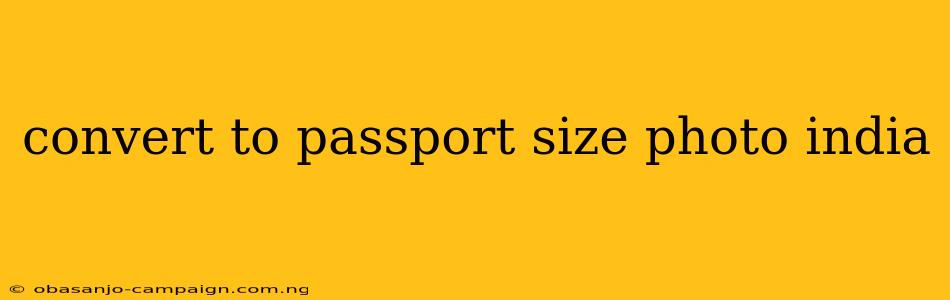 Convert To Passport Size Photo India