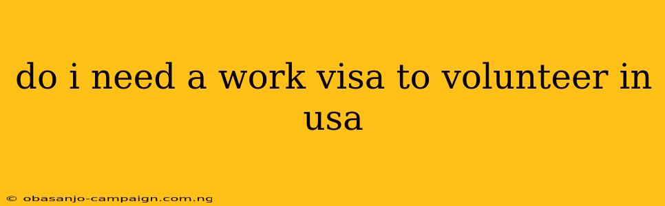 Do I Need A Work Visa To Volunteer In Usa