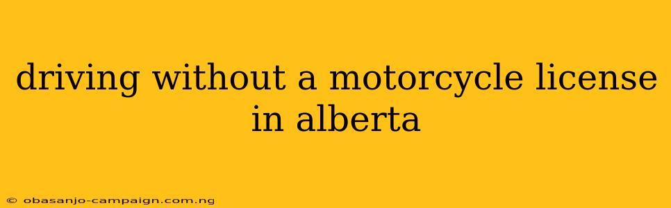 Driving Without A Motorcycle License In Alberta