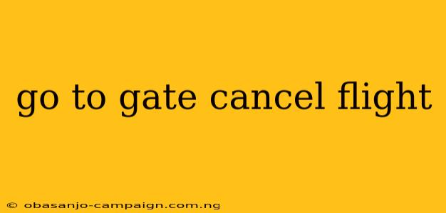 Go To Gate Cancel Flight