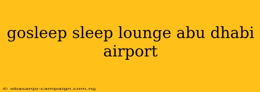 Gosleep Sleep Lounge Abu Dhabi Airport