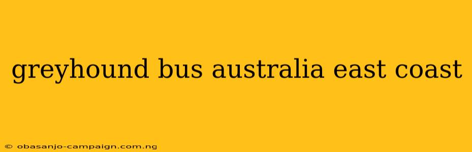 Greyhound Bus Australia East Coast