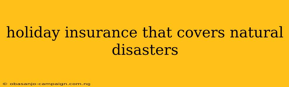 Holiday Insurance That Covers Natural Disasters