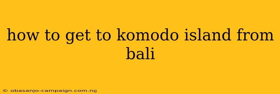 How To Get To Komodo Island From Bali