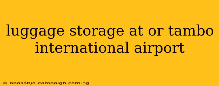 Luggage Storage At Or Tambo International Airport