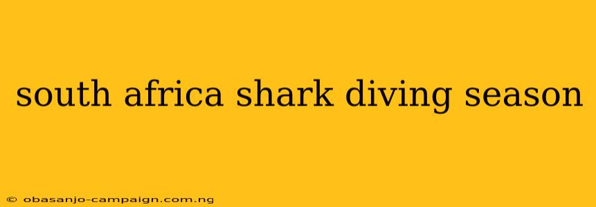 South Africa Shark Diving Season