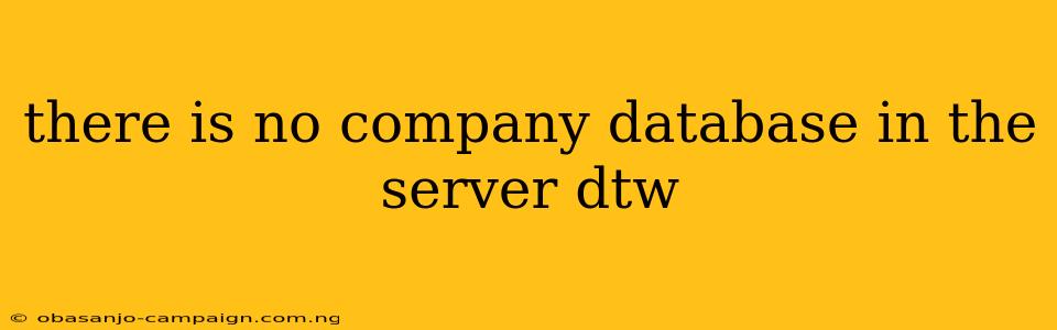 There Is No Company Database In The Server Dtw