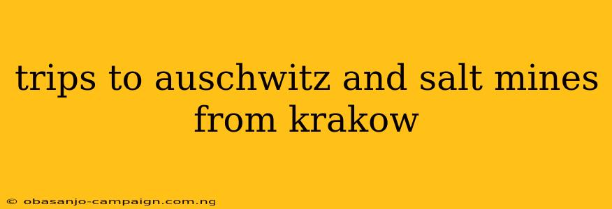 Trips To Auschwitz And Salt Mines From Krakow