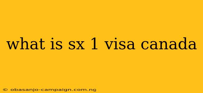 What Is Sx 1 Visa Canada