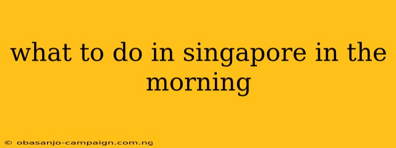 What To Do In Singapore In The Morning