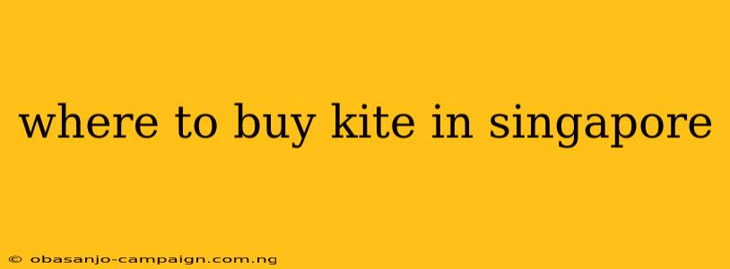 Where To Buy Kite In Singapore